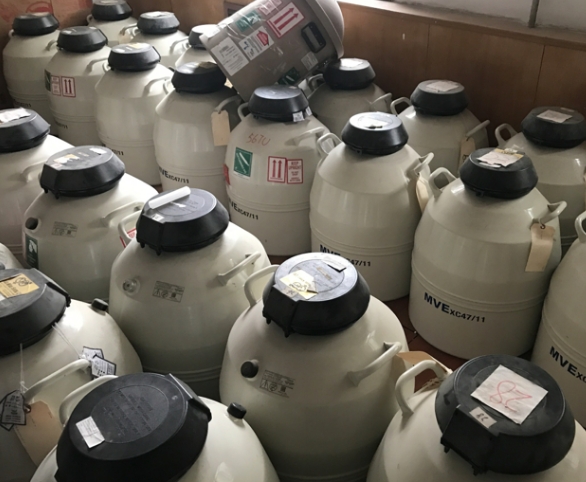 液氮罐 液氮罐